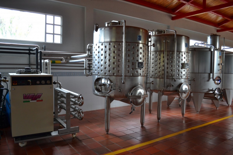 cave-BELGENTIER-min_wine_production_cantine_winery_drink_alcohol_vine_beverage-902036